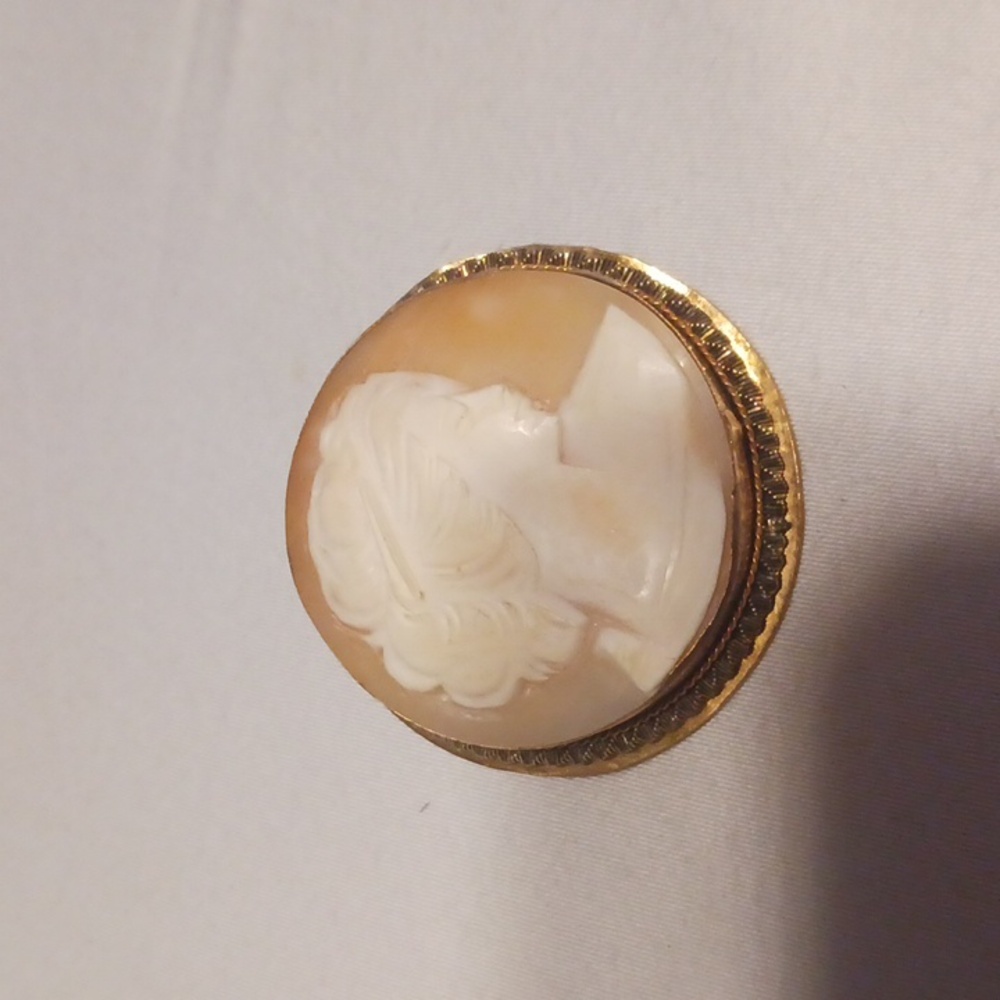Carved shell cameo